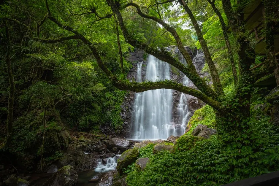 Pemandangan air terjun bertingkat di tengah hutan tropis Jambi