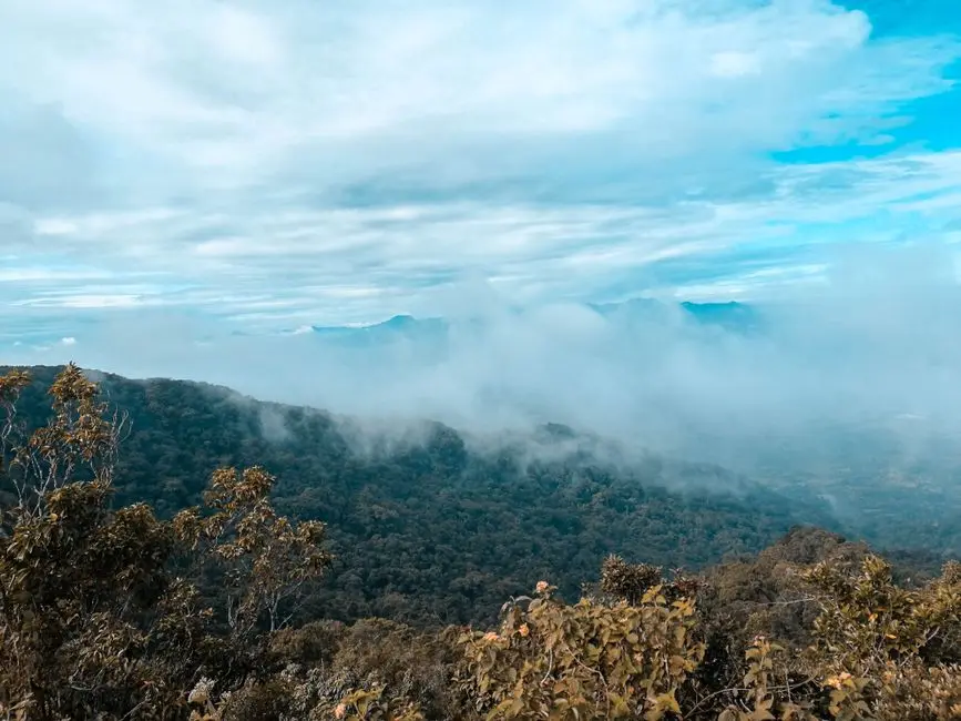 Bukit Panorama Muaratebo